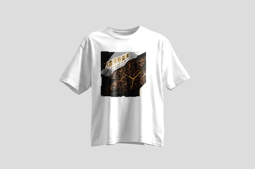 Wear — Da Jin Ya Shu Pu-erh