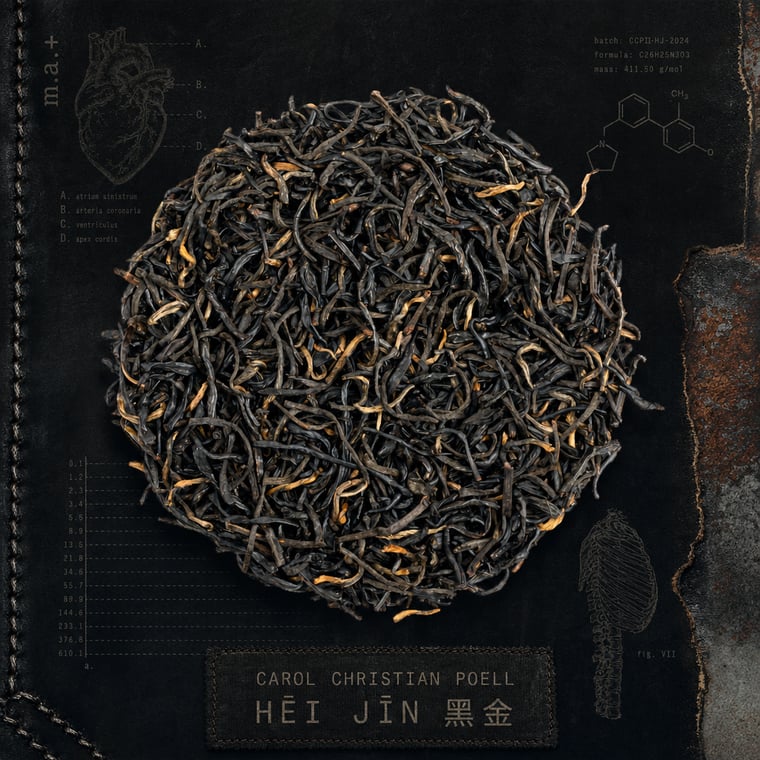 The design — Hēi Jīn