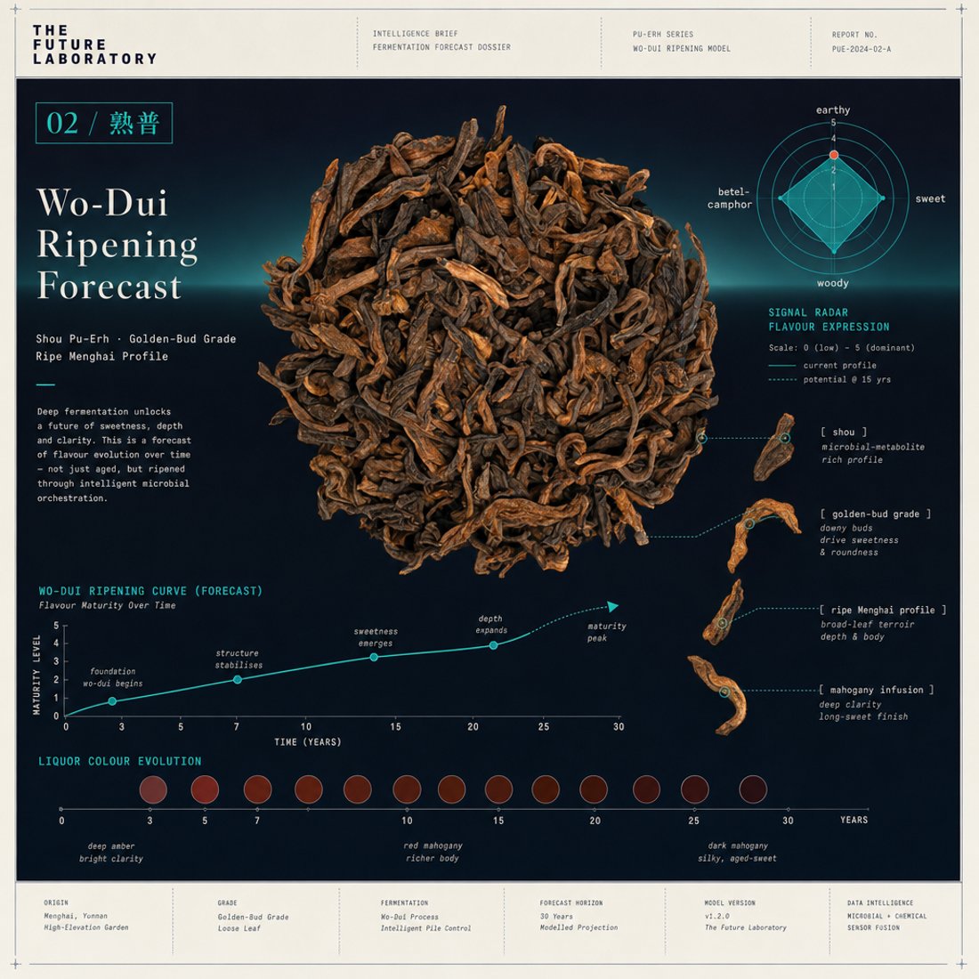 Loose golden-bud ripe pu-erh on a deep navy panel with a cyan flavour radar, a maturity curve and thin leader lines to single leaves
