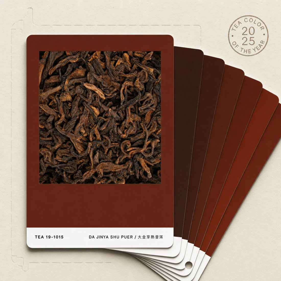 Shards of ripe pu-erh paste on a dark brown colour field above a white strip with a filing code and three small brown chips