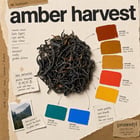 Promostyl tea forecast — 3 of 34 teas