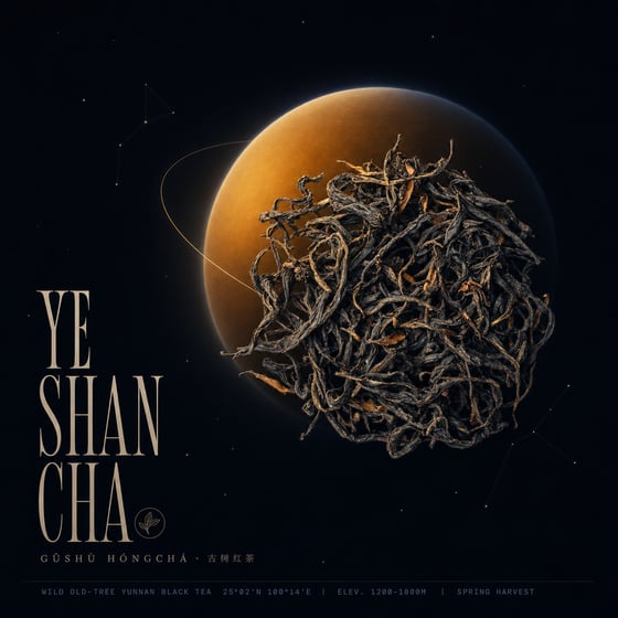 Diān Hóng Yě Shēng