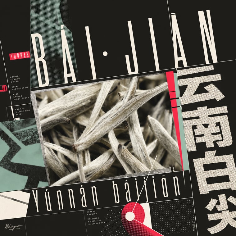The design — Bái Jiān